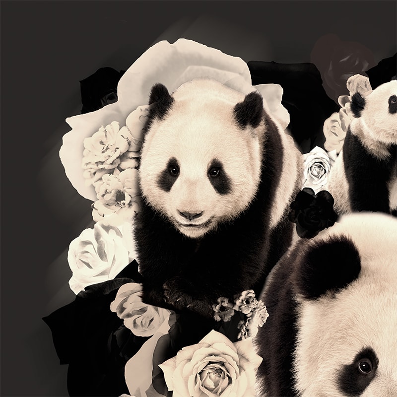 Linksboven Schilderij Panda