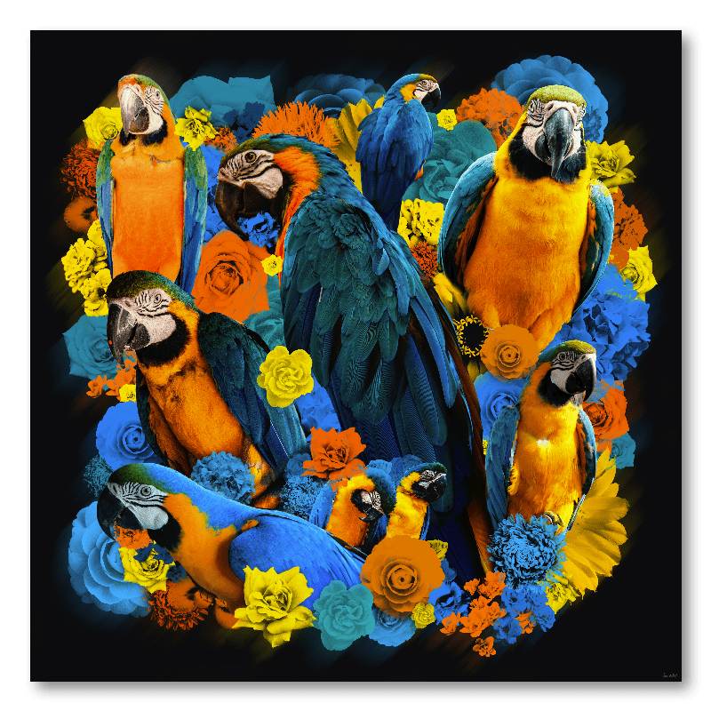 Schilderij Papegaai bloemen geel blauw