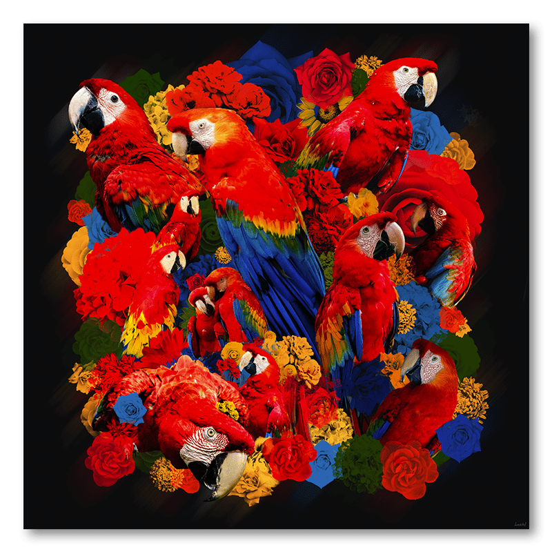 Schilderij Papegaai bloemen rood blauw