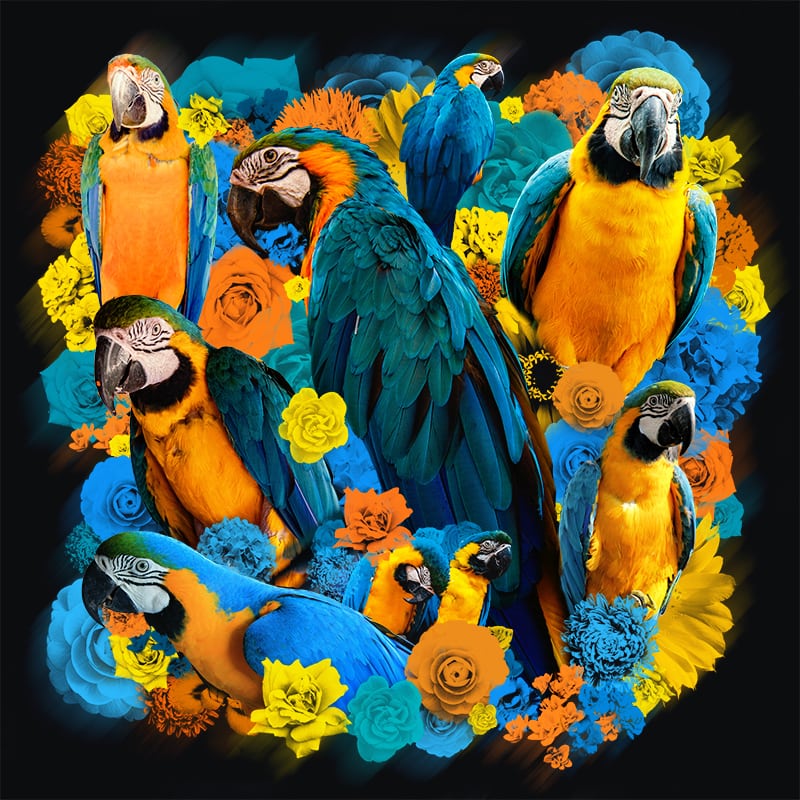 Schilderij papegaai blauw