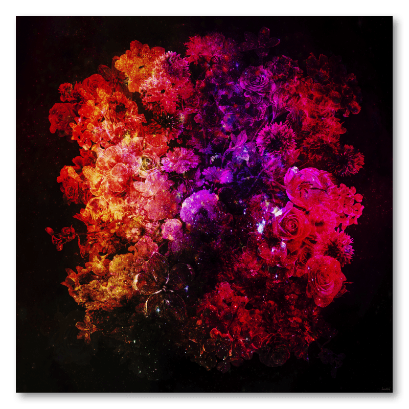 Schilderij bloemen paars rood